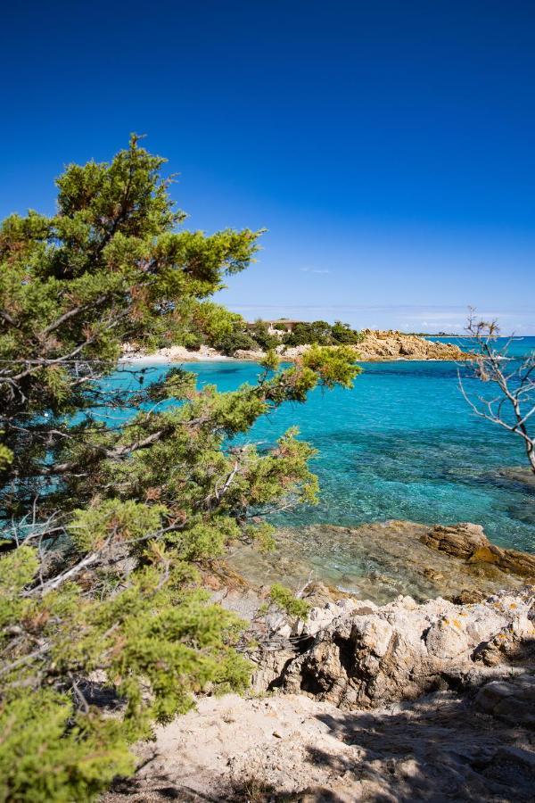 Tirreno Resort Cala Liberotto Luaran gambar